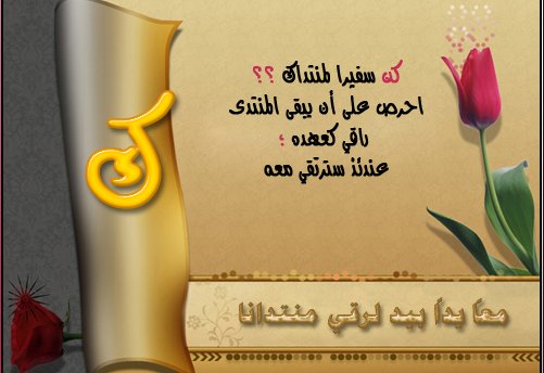 صورة
