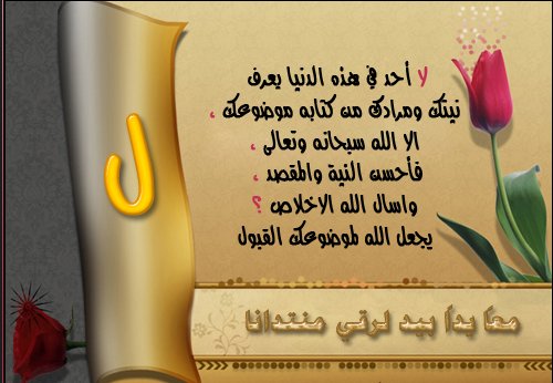 صورة