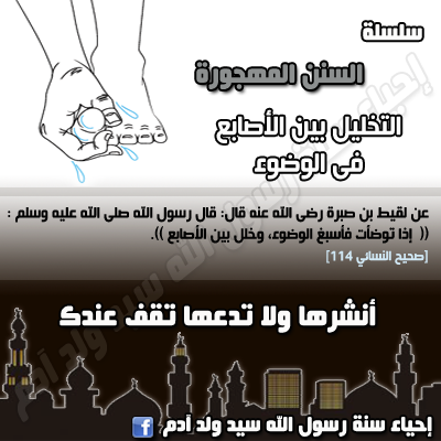 ســـنـــة الــتـــخــلـــيـــــــل