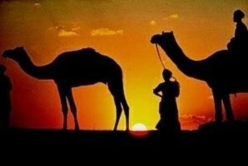 اضغط هنا لتكبير الصوره