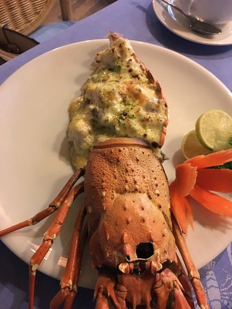 موقع ورقم تليفون مطعم Twina 609056823.jpg