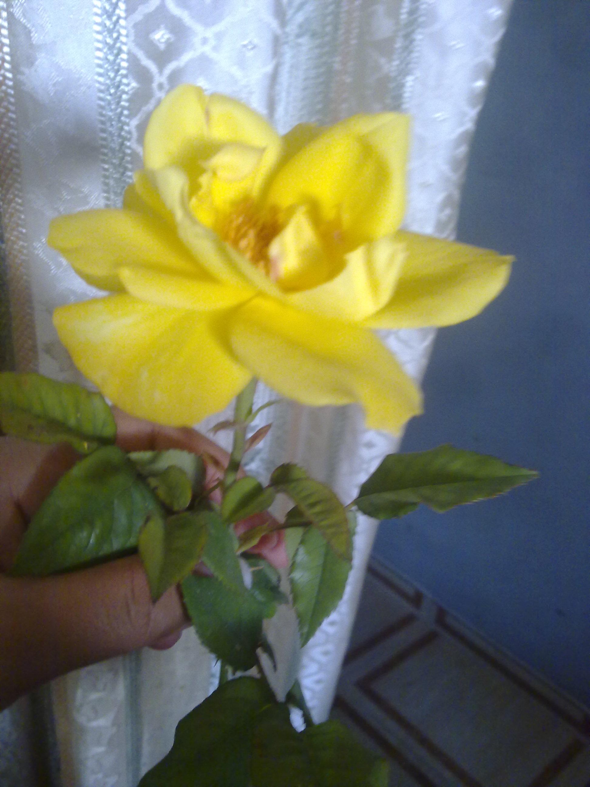 ���� ���� ������ �� ���� ������