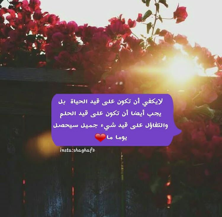 ���� ���� ������ �� ���� ������