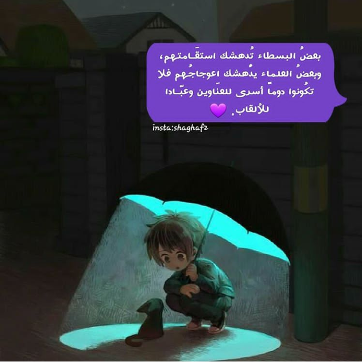 ���� ���� ������ �� ���� ������