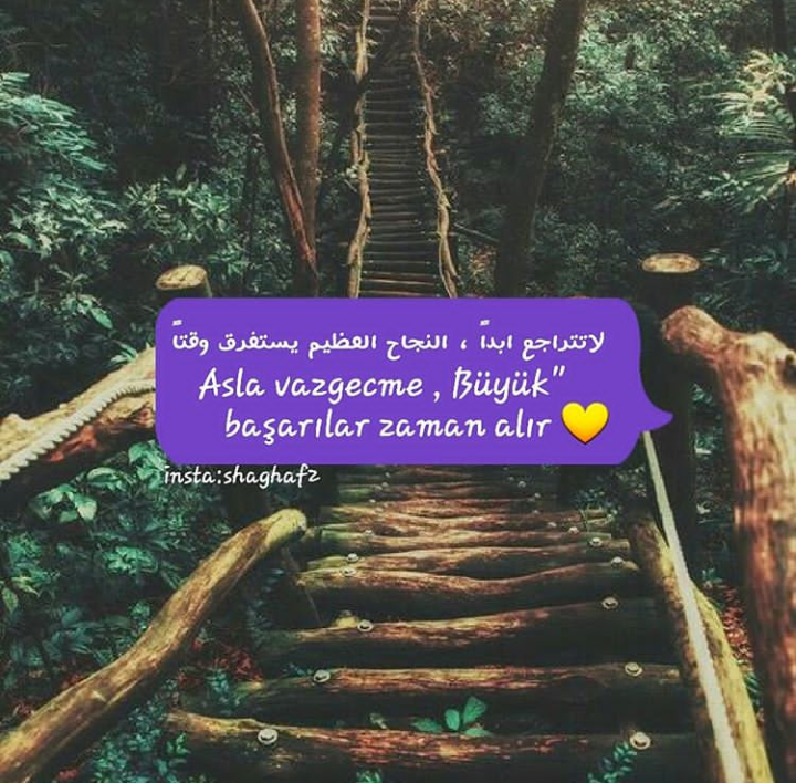 ���� ���� ������ �� ���� ������