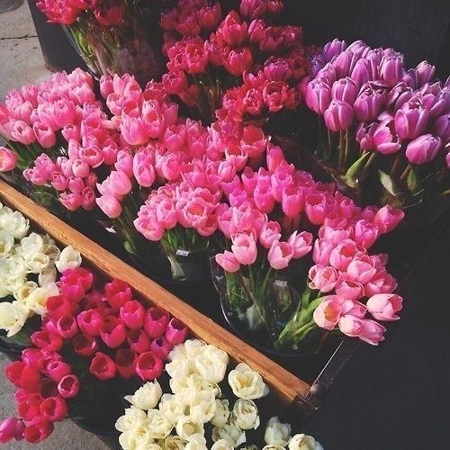 ���� ���� ������ �� ���� ������