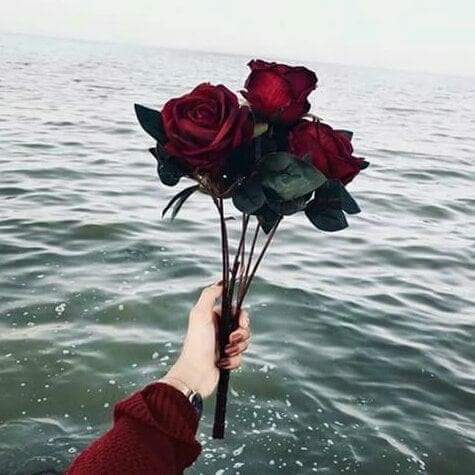 ���� ���� ������ �� ���� ������