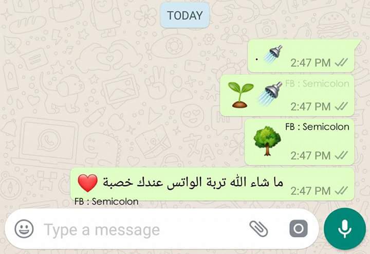 ���� ���� ������ �� ���� ������