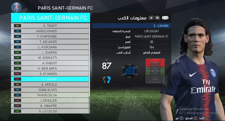 2018-2019 بروفيشنال