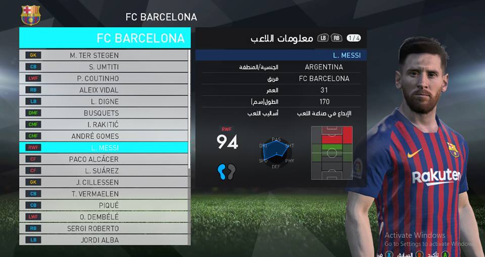 2018-2019 بروفيشنال
