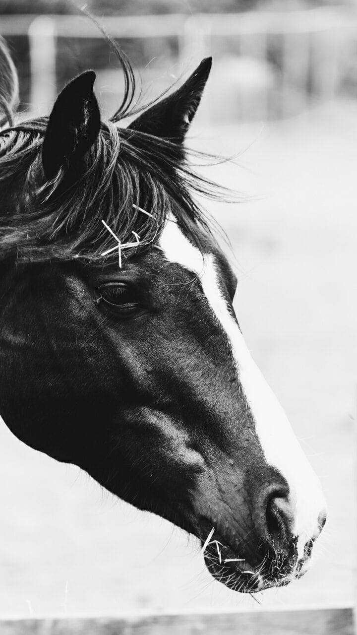 ���� ���� ������ �� ���� ������