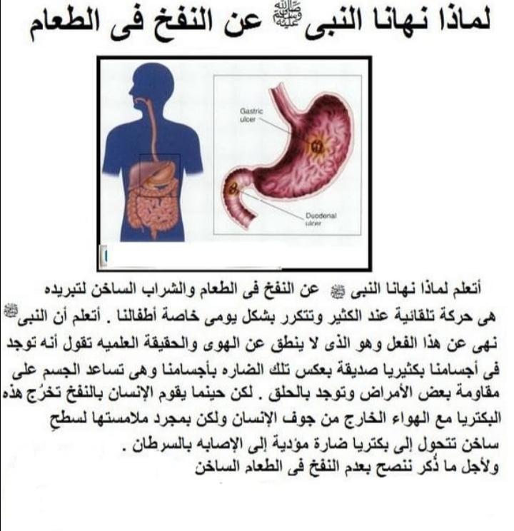 ���� ���� ������ �� ���� ������