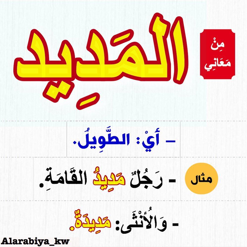 ���� ���� ������ �� ���� ������