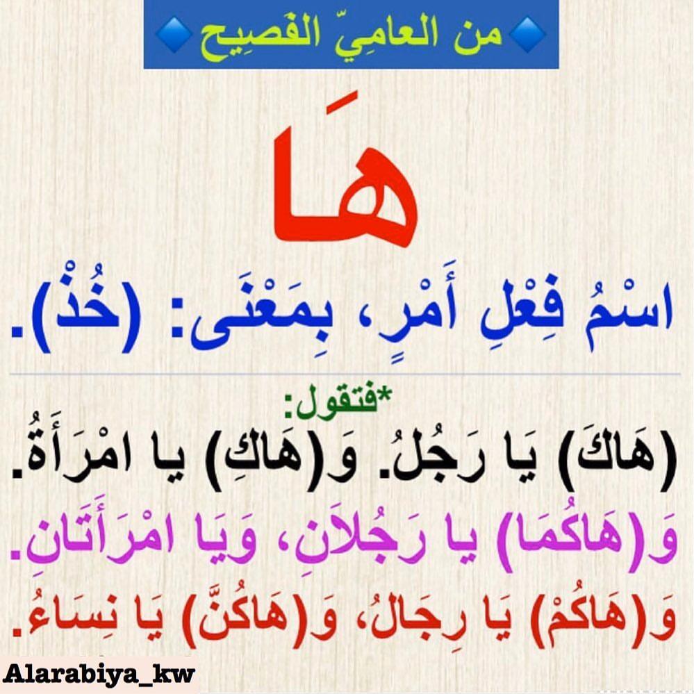 ���� ���� ������ �� ���� ������