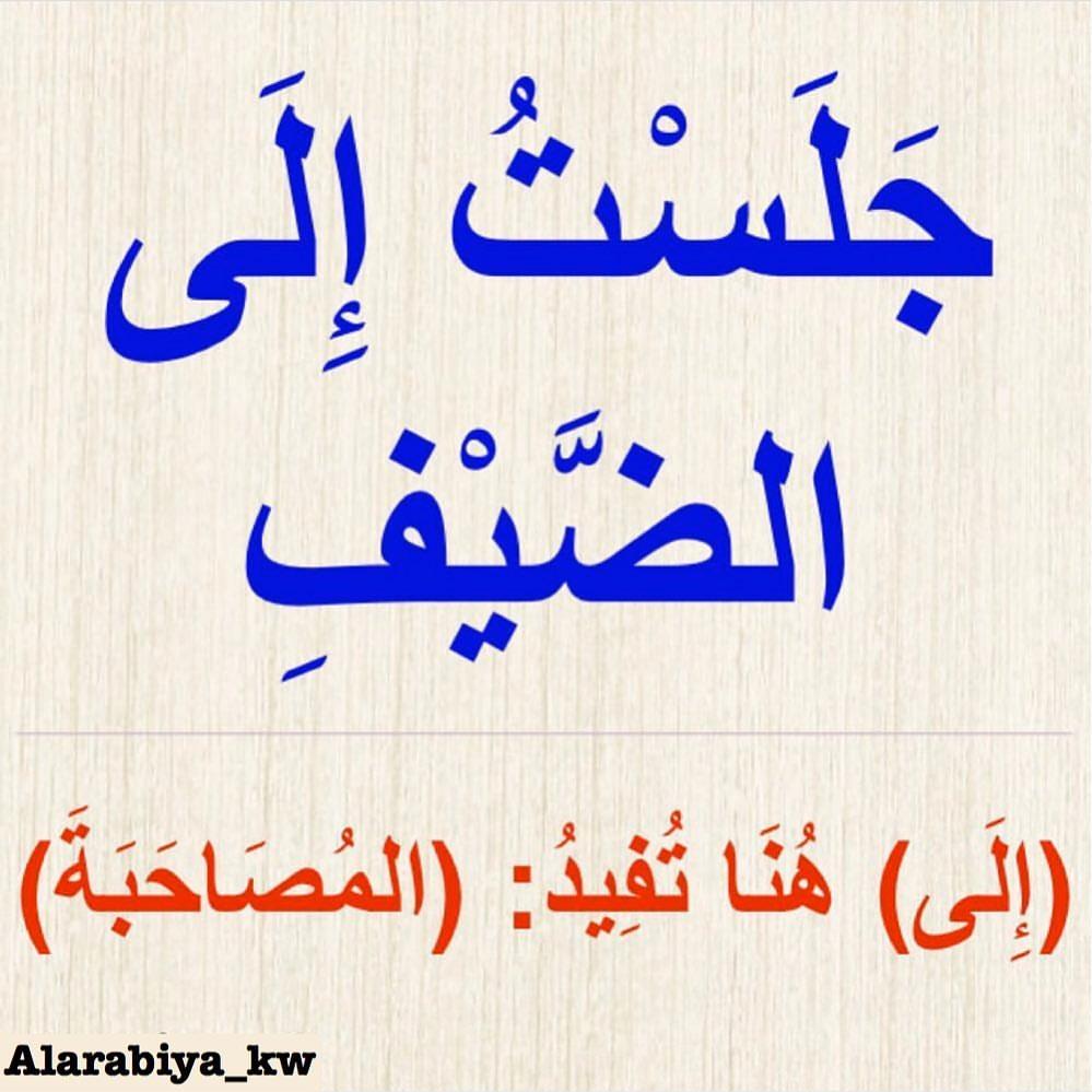 ���� ���� ������ �� ���� ������