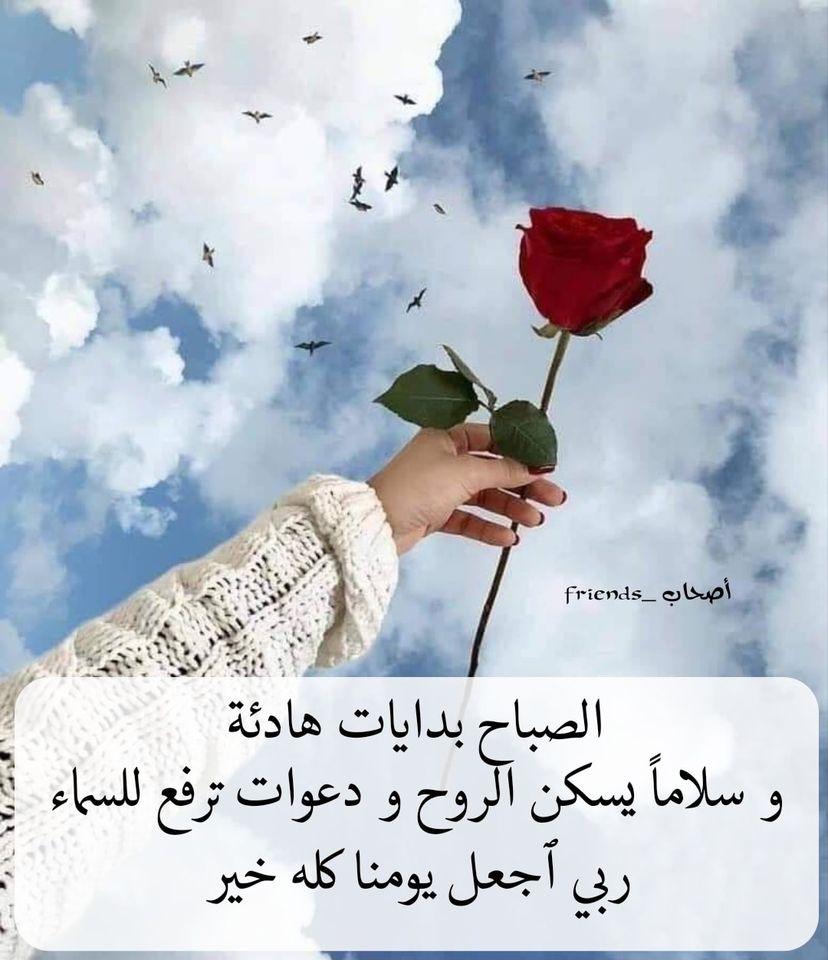 ���� ���� ������ �� ���� ������