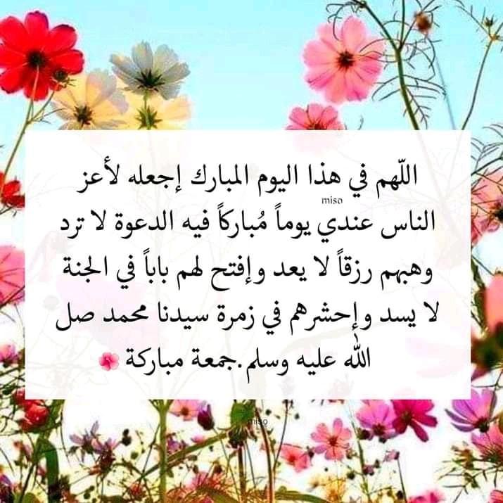 ���� ���� ������ �� ���� ������