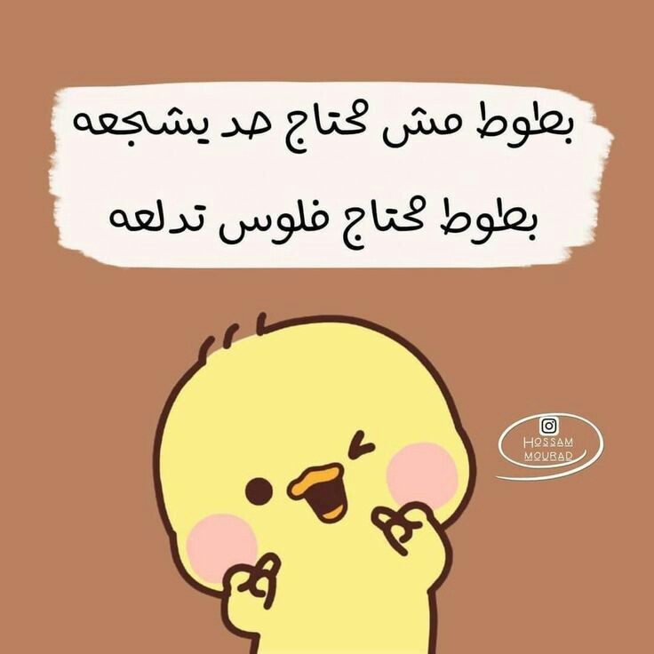 ���� ���� ������ �� ���� ������