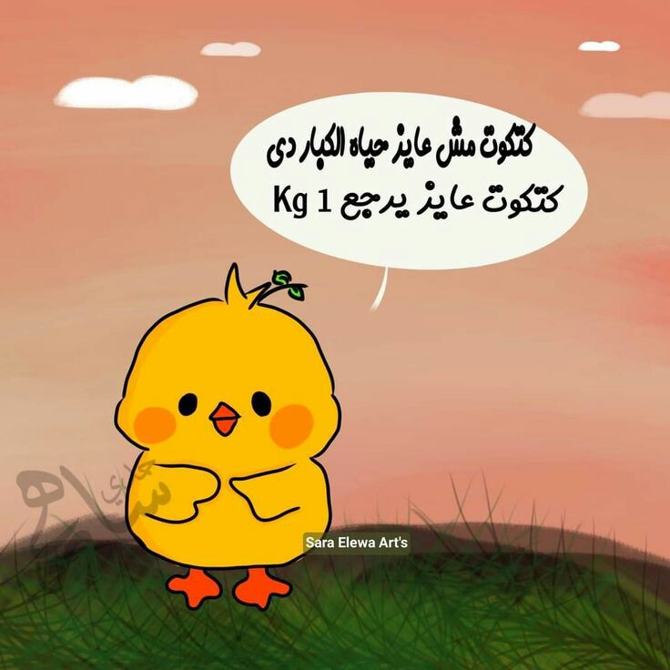 ���� ���� ������ �� ���� ������