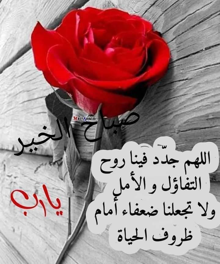 ���� ���� ������ �� ���� ������