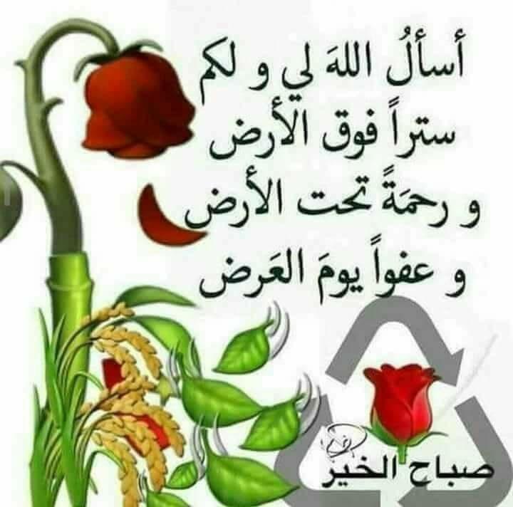 ���� ���� ������ �� ���� ������