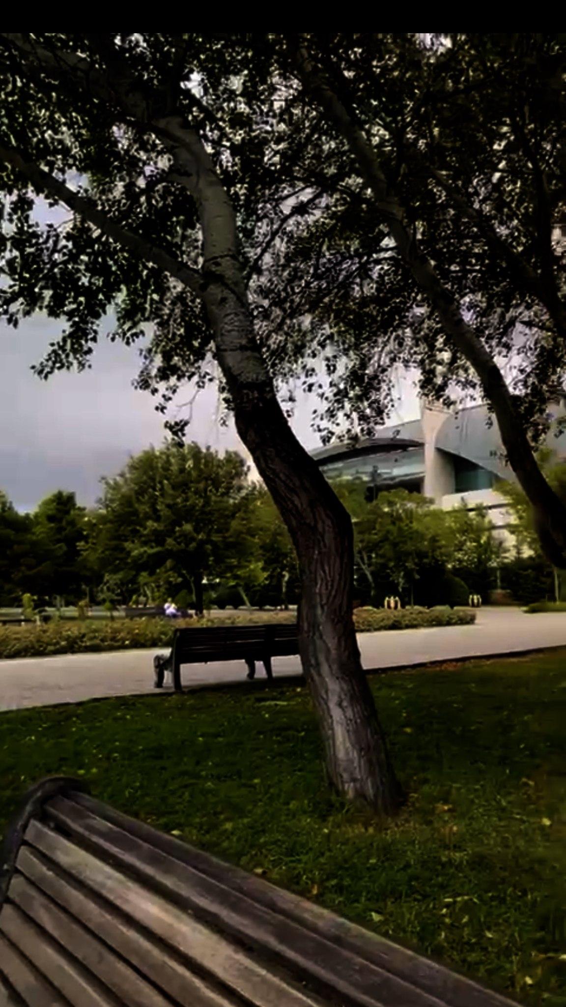 ���� ���� ������ �� ���� ������