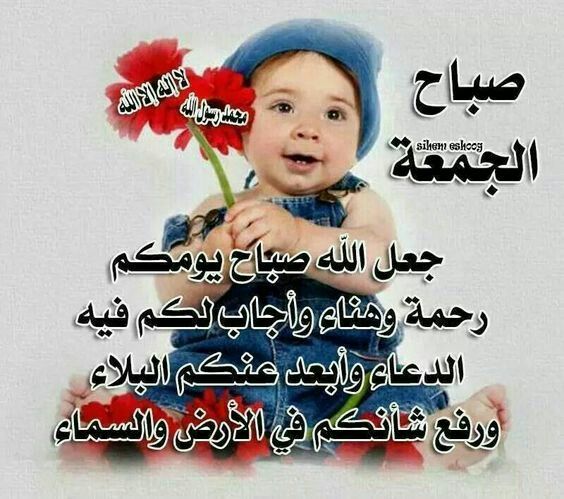 ���� ���� ������ �� ���� ������