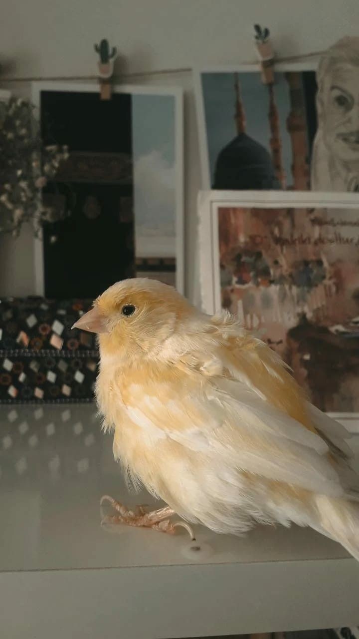 ���� ���� ������ �� ���� ������