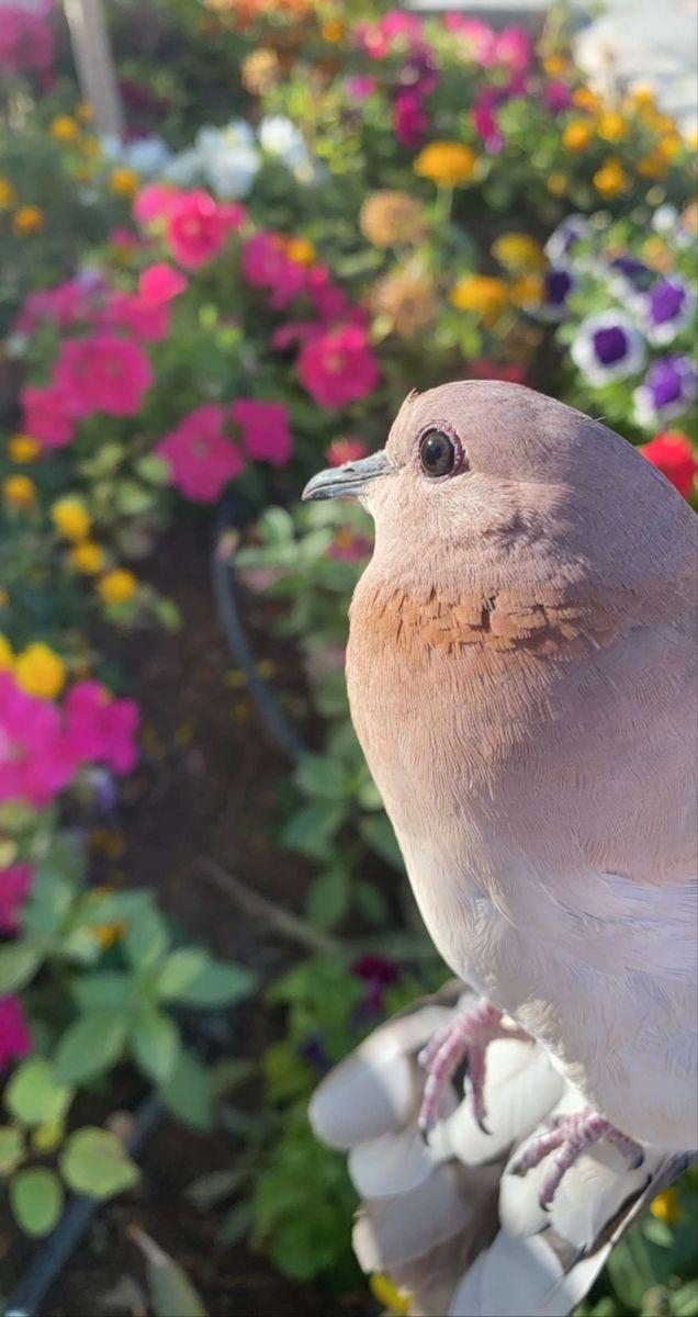 ���� ���� ������ �� ���� ������