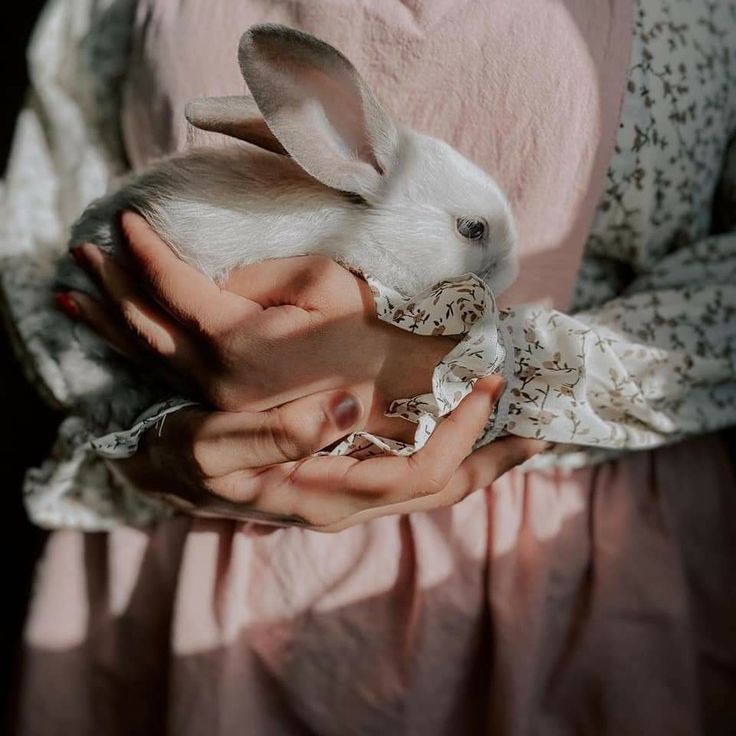 ���� ���� ������ �� ���� ������