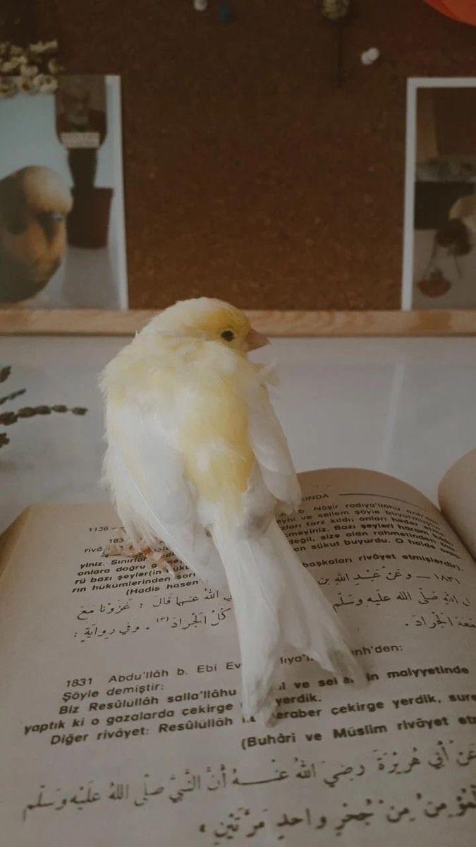 ���� ���� ������ �� ���� ������