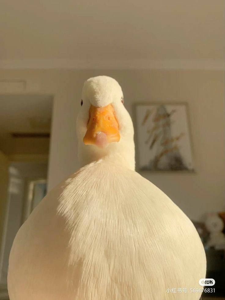 ���� ���� ������ �� ���� ������