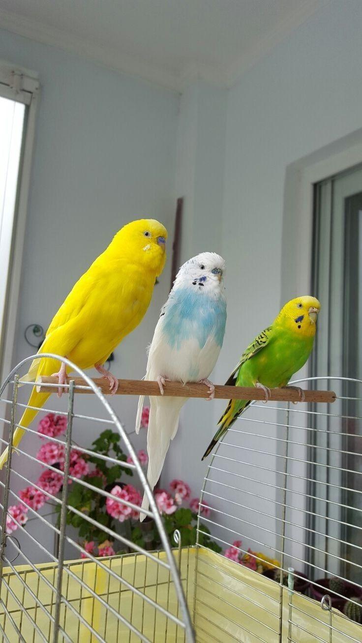 ���� ���� ������ �� ���� ������