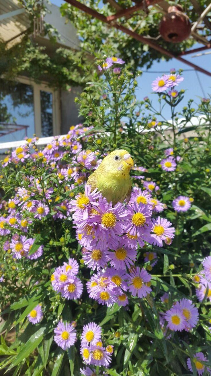 ���� ���� ������ �� ���� ������