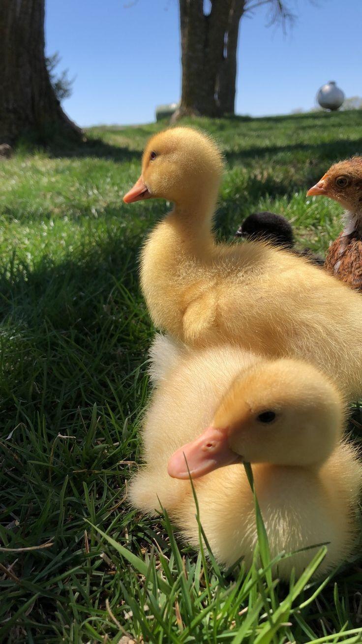 ���� ���� ������ �� ���� ������