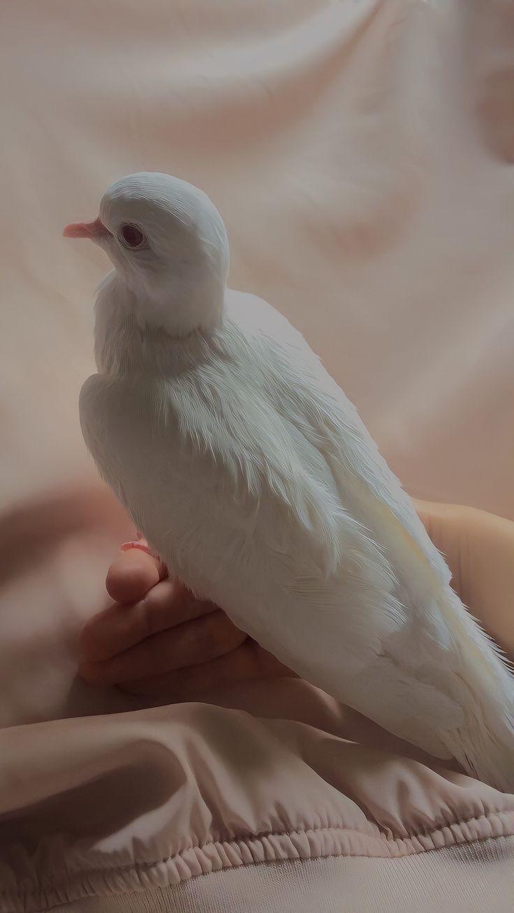 ���� ���� ������ �� ���� ������