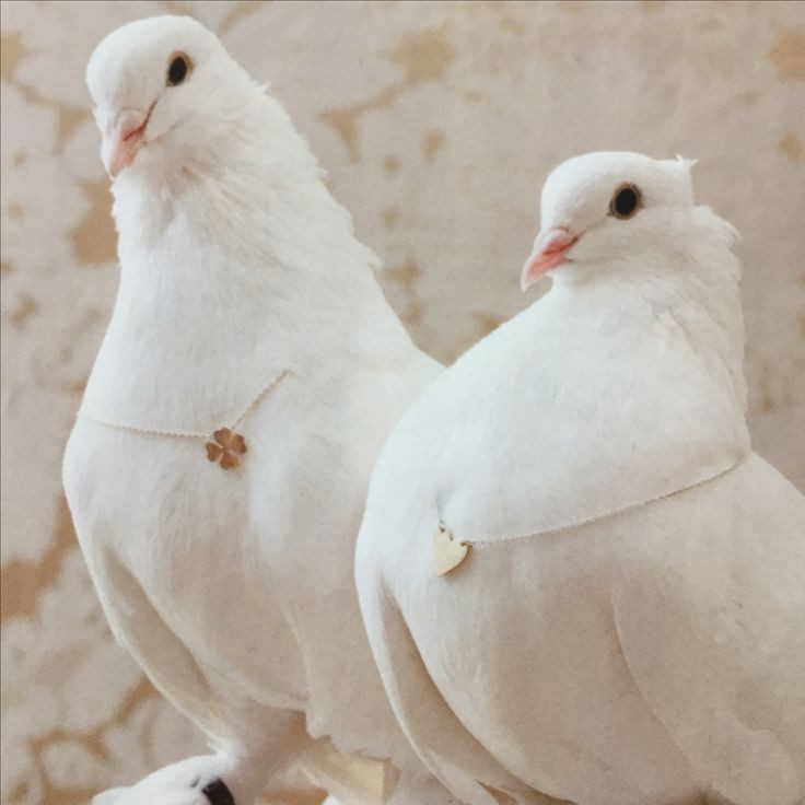 ���� ���� ������ �� ���� ������