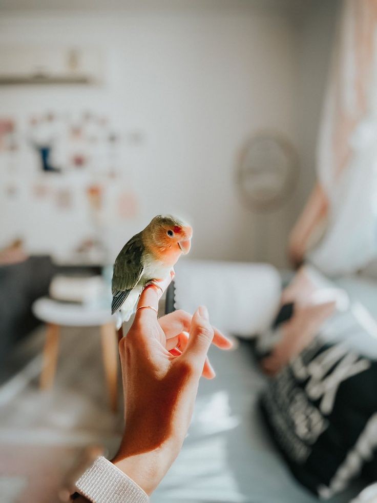 ���� ���� ������ �� ���� ������