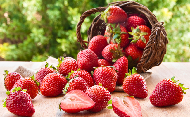 ���� ���� ������ �� ���� ������