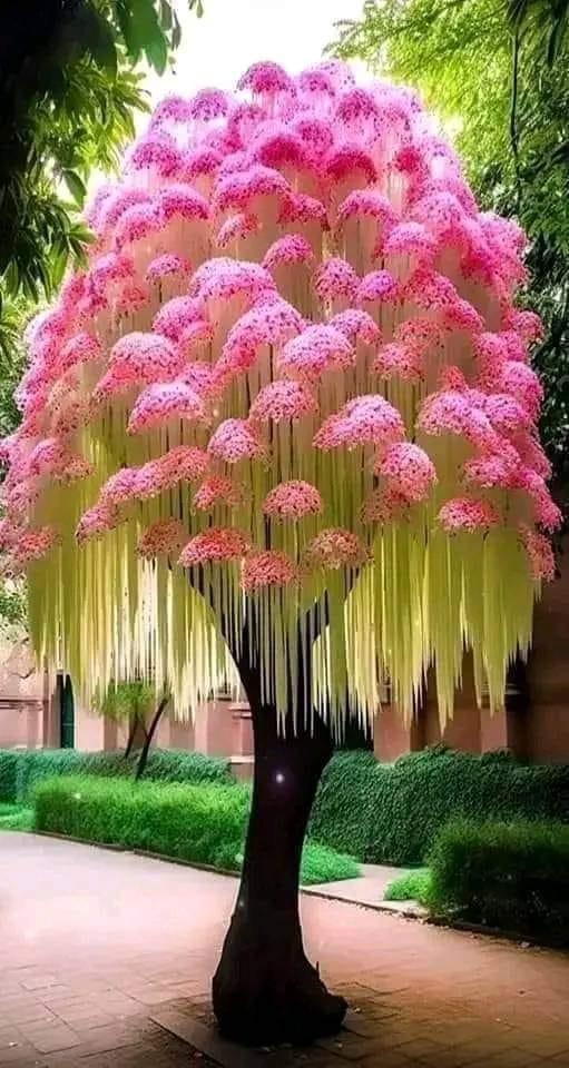 ���� ���� ������ �� ���� ������