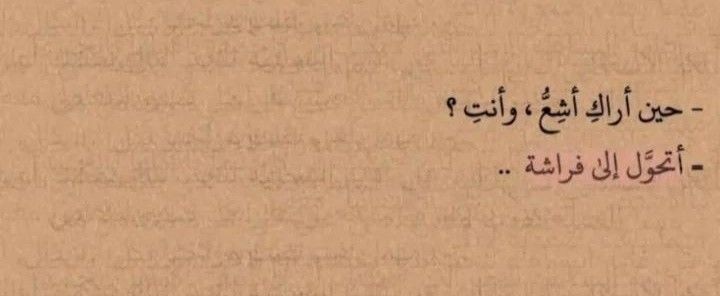 ���� ���� ������ �� ���� ������