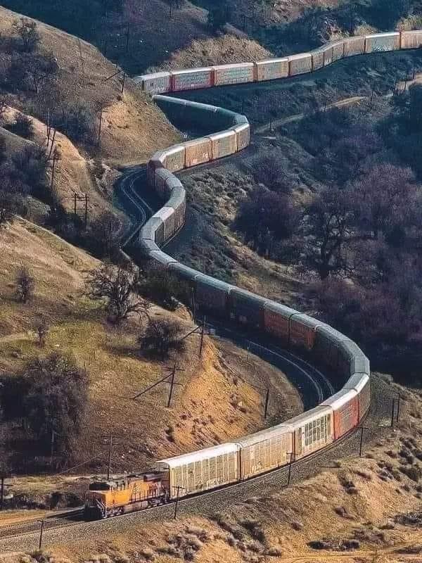 ���� ���� ������ �� ���� ������