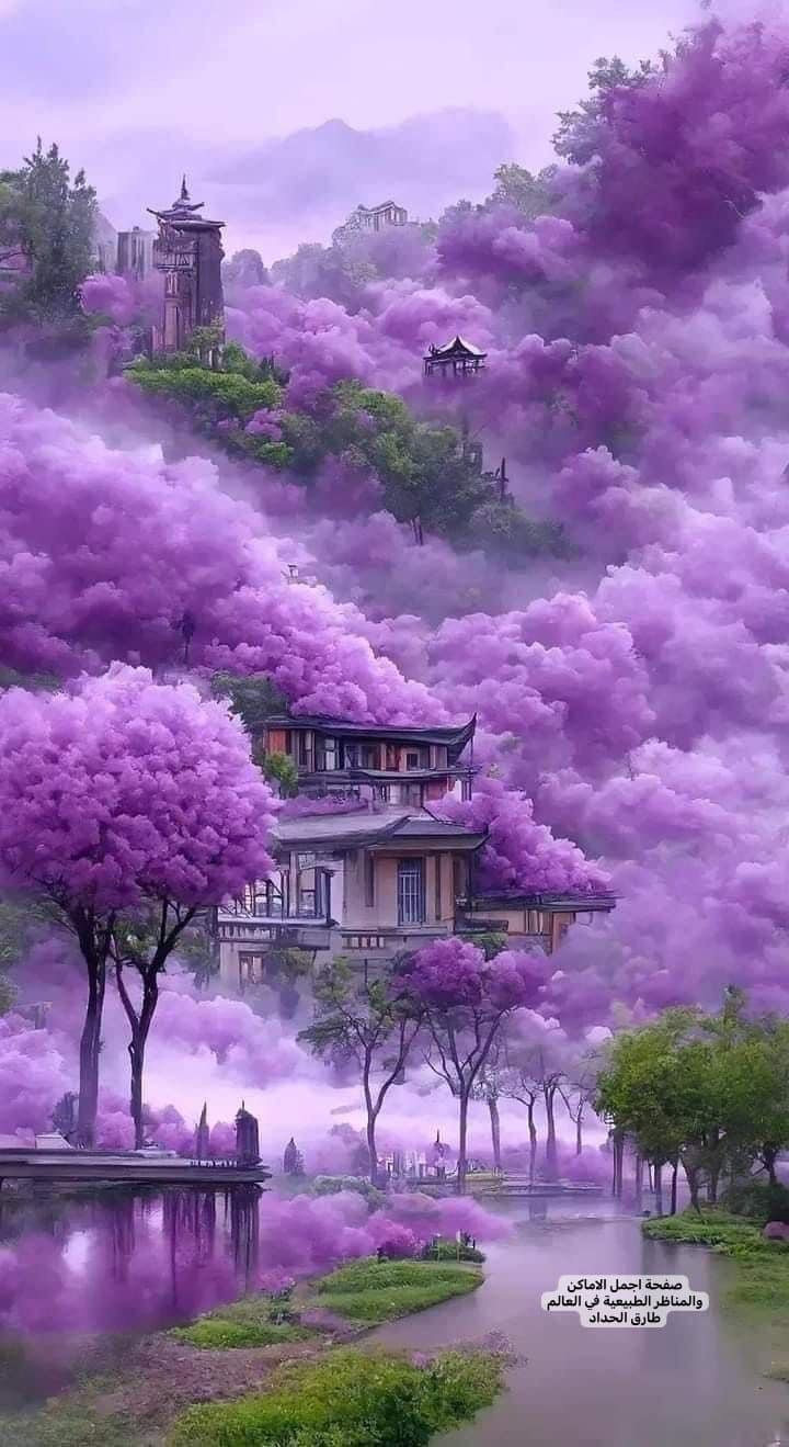 ���� ���� ������ �� ���� ������